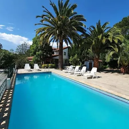 Dreams And Friends On The Coast Of Bilbao. Villa Getxo Exterior photo