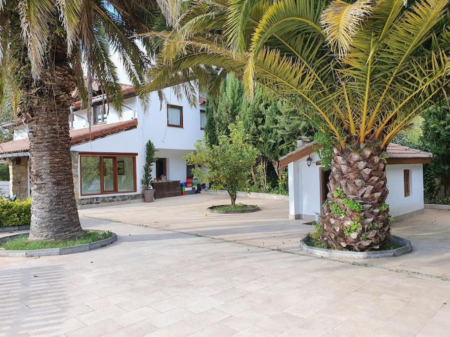 Dreams And Friends On The Coast Of Bilbao. Villa Getxo